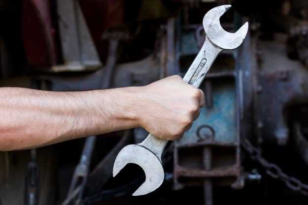Choosing the Right Lubrication for Chain Longevity