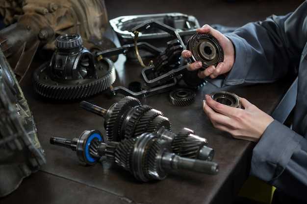 Chain Maintenance Tips for Beginners