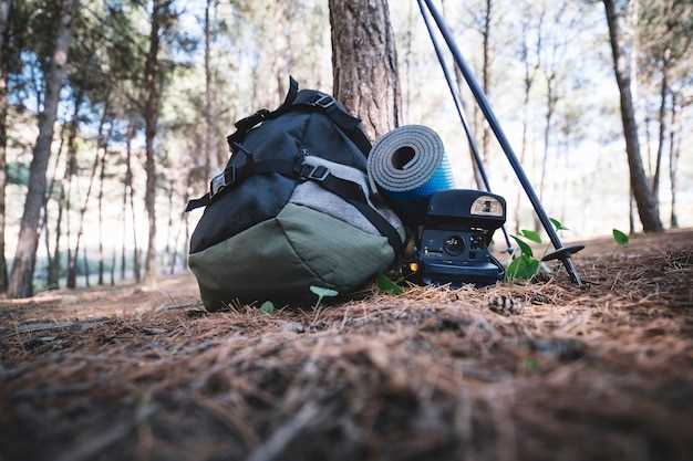 Choosing the Right Campsite and Setup Techniques