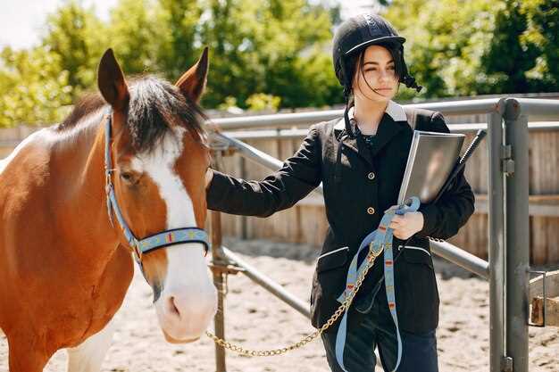 Top Reasons to Join a Riding Club